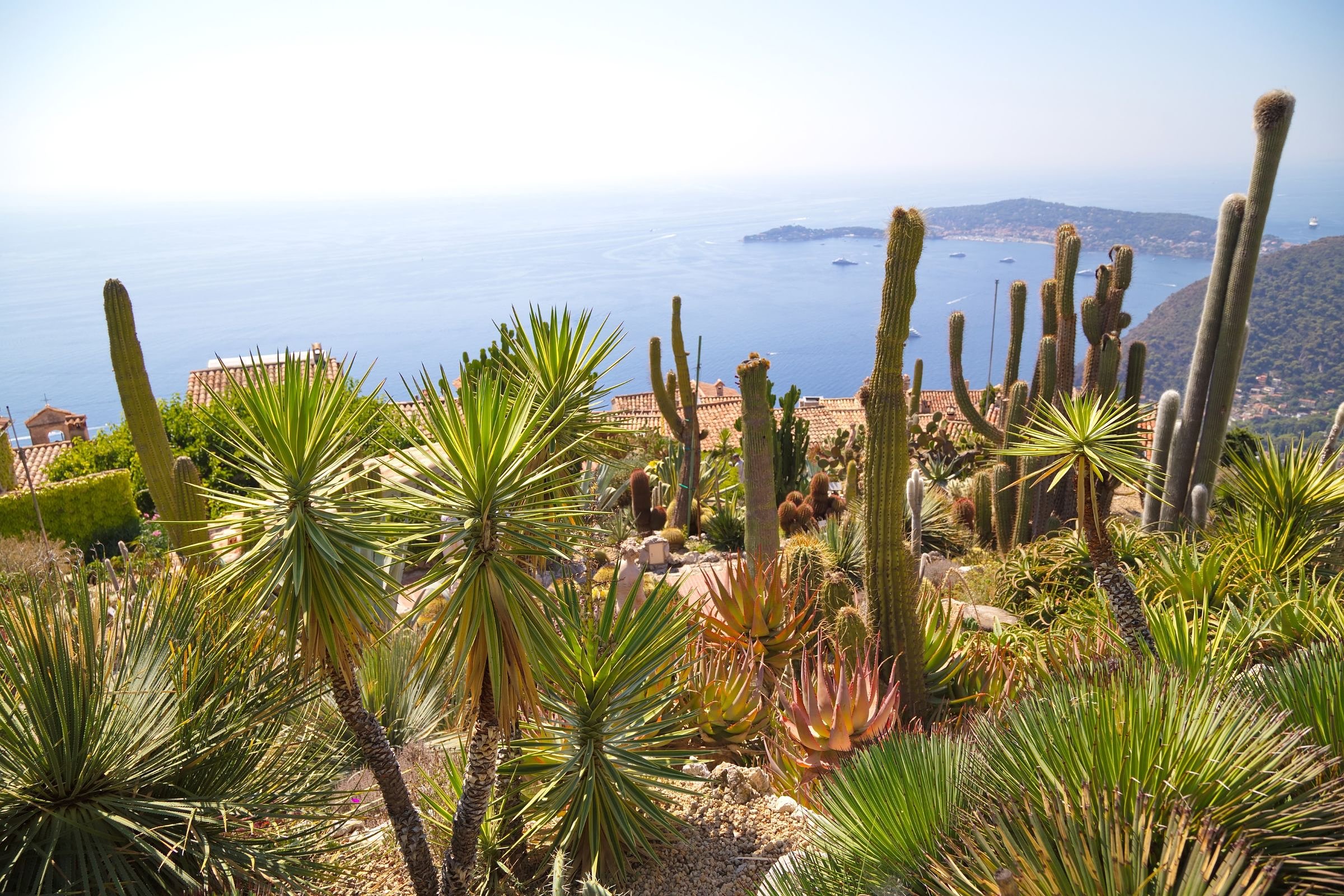 nice to eze day trip