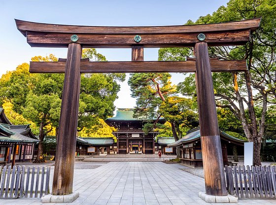 Spanish - Tokyo Aesthetics and Architecture Tour, with Omotesando and Meiji Jingu