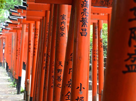 Spanish - Tokyo in a Day Tour with Yanesen, Ueno and Asakusa
