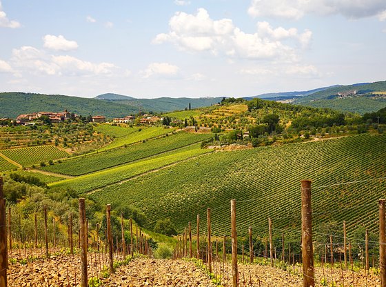Chianti Excursion with Wine Tasting from Siena