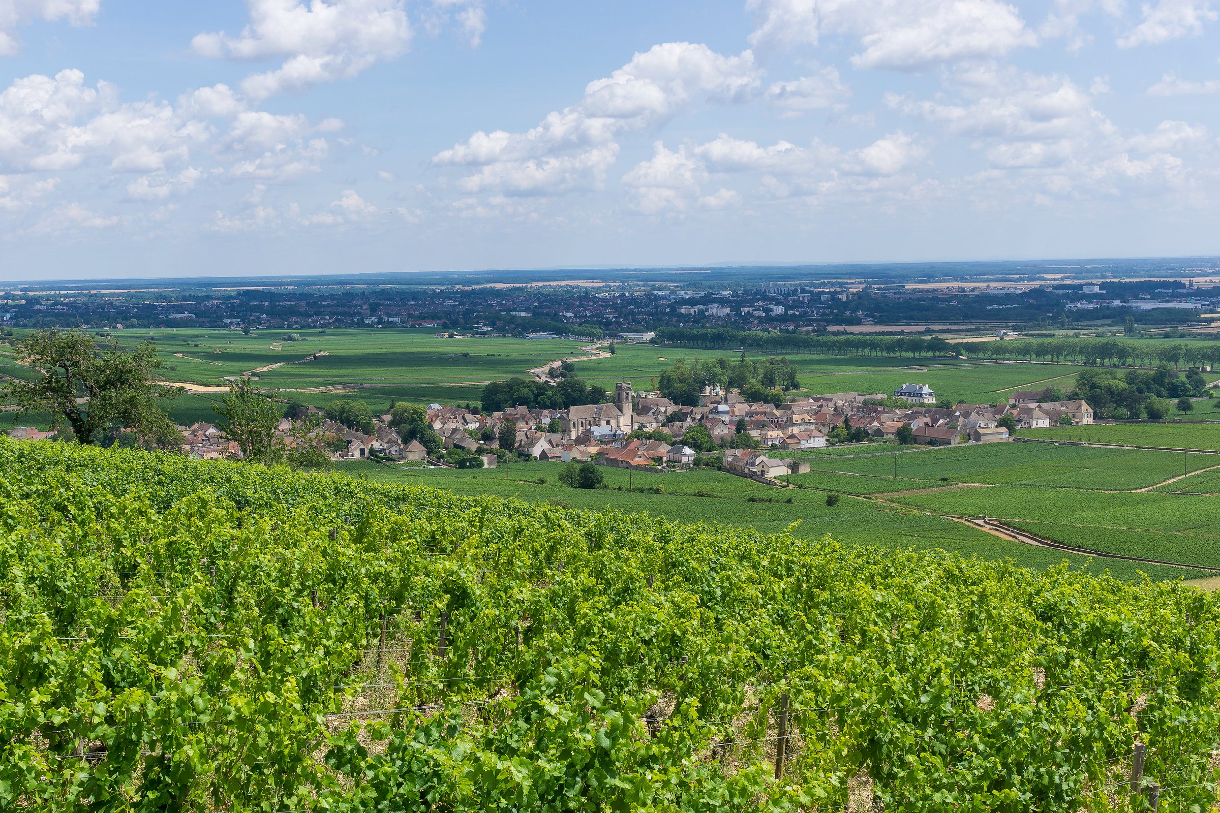 burgundy wine tour from paris