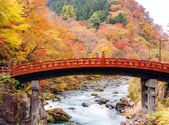 Nikko Full-Day Trip from Tokyo with Toshogu Shrine
