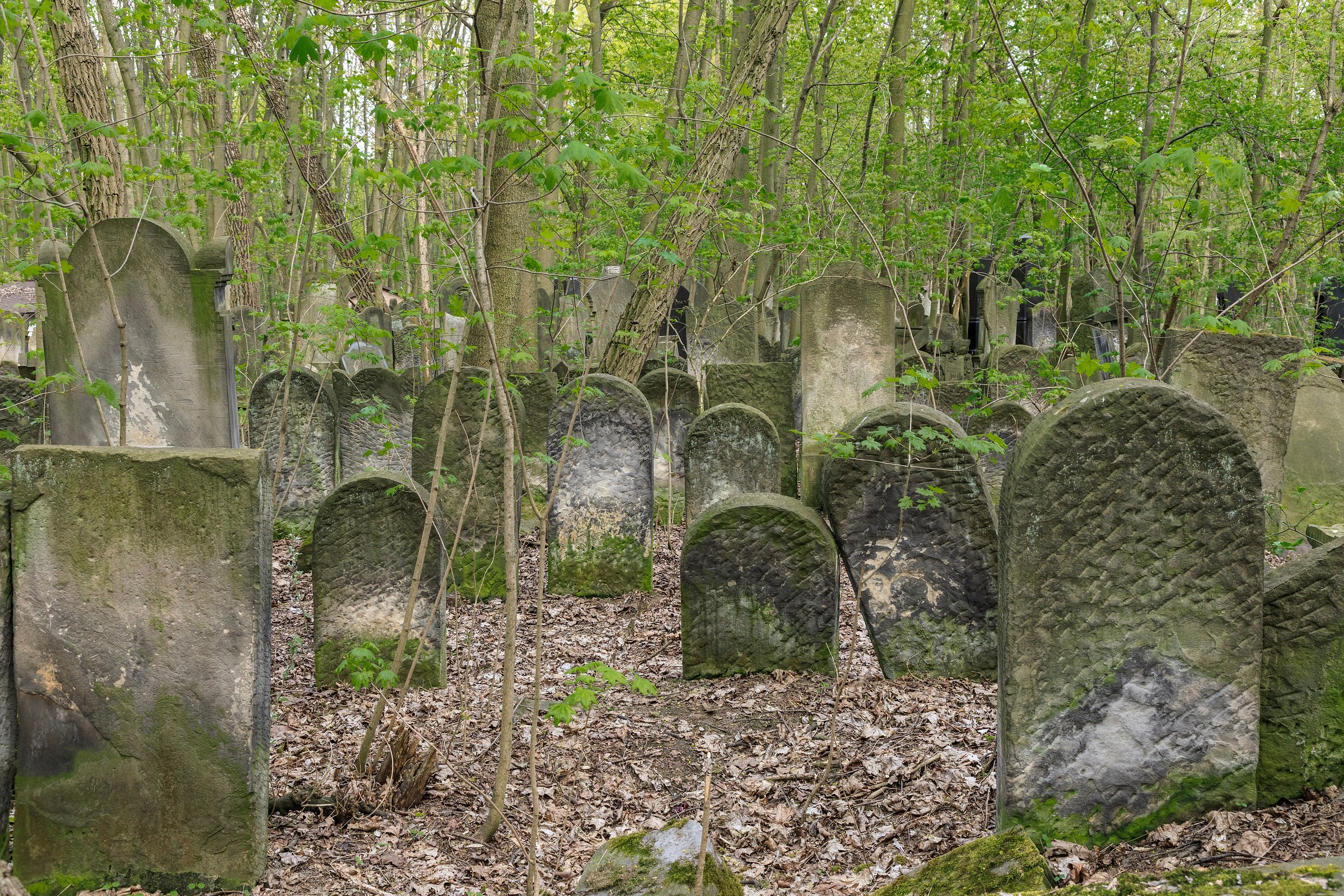 jewish warsaw tour