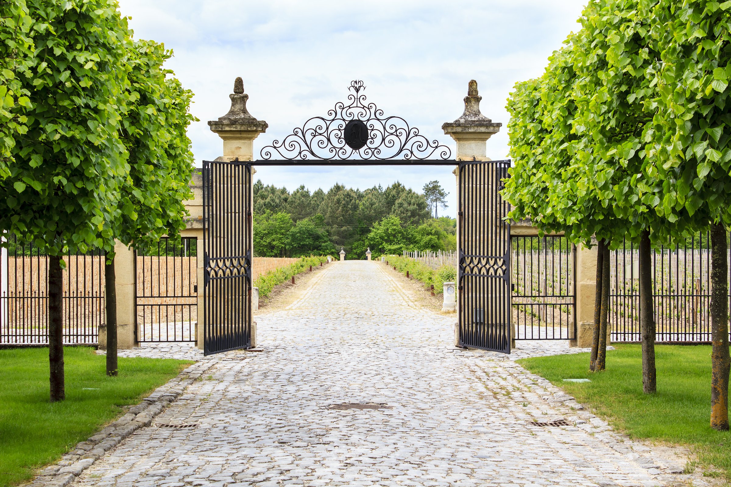 bordeaux winery tour
