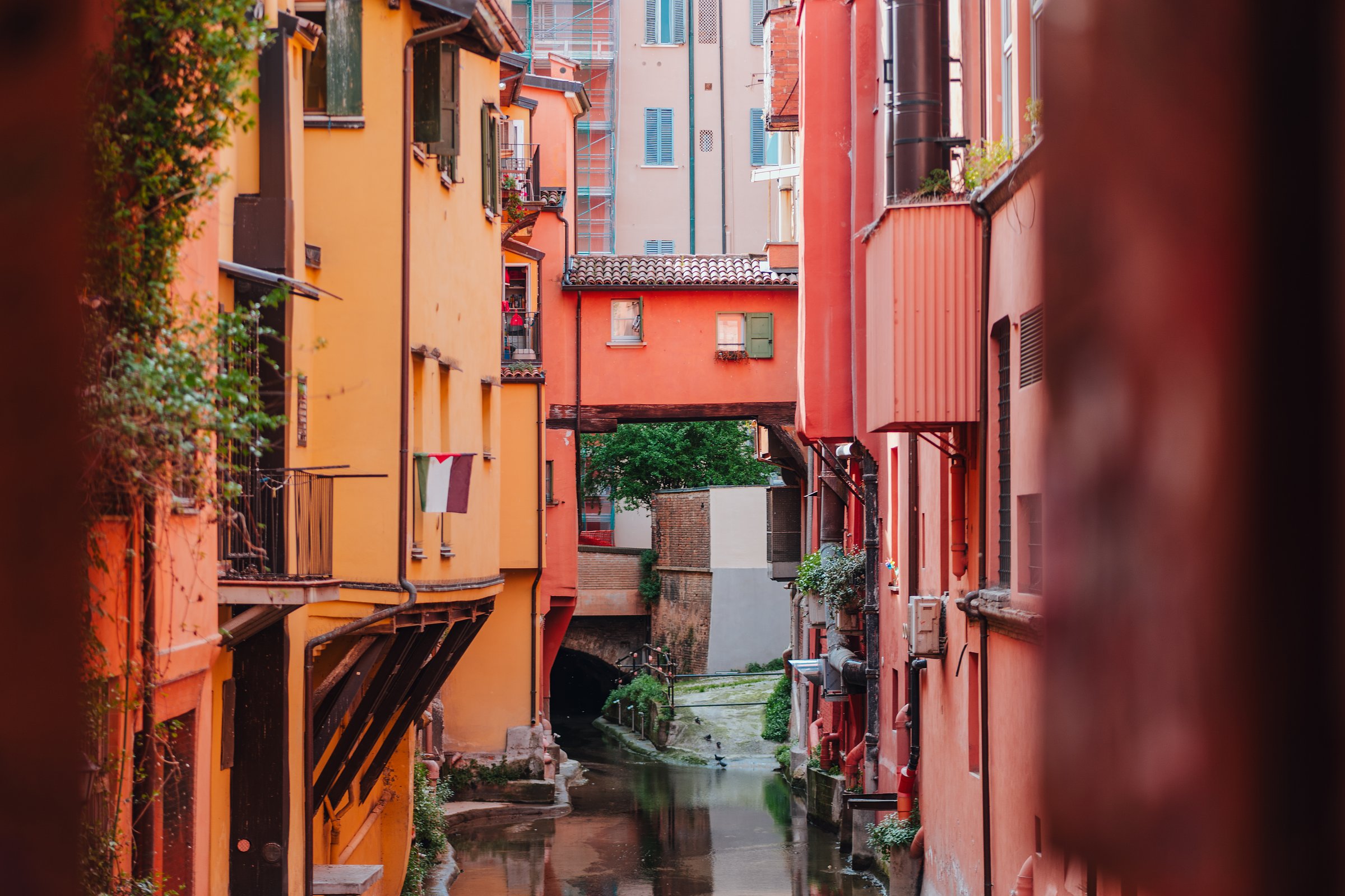bologna in a day