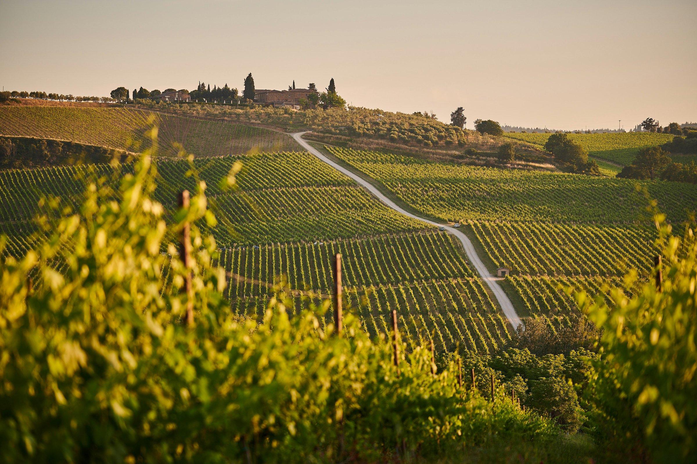 day trip from florence to tuscany wine tasting