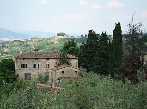 Half-Day Tuscany Carmignano Wine Tasting Tour from Florence
