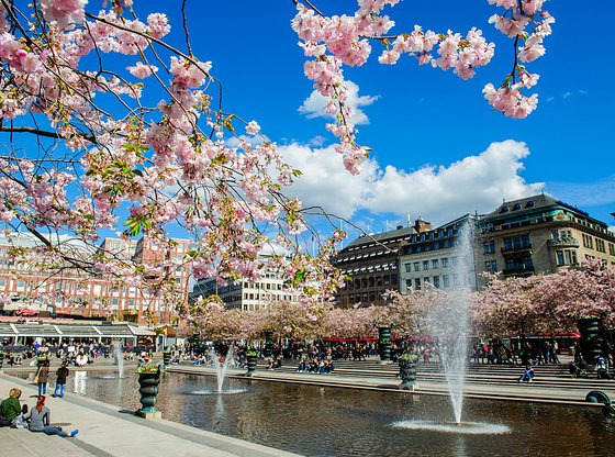 Stockholm Royal Palace Tour