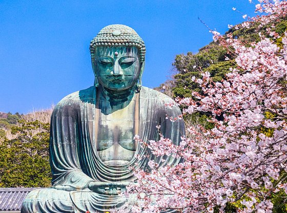 Spanish - Half-Day Kamakura Day Trip from Tokyo