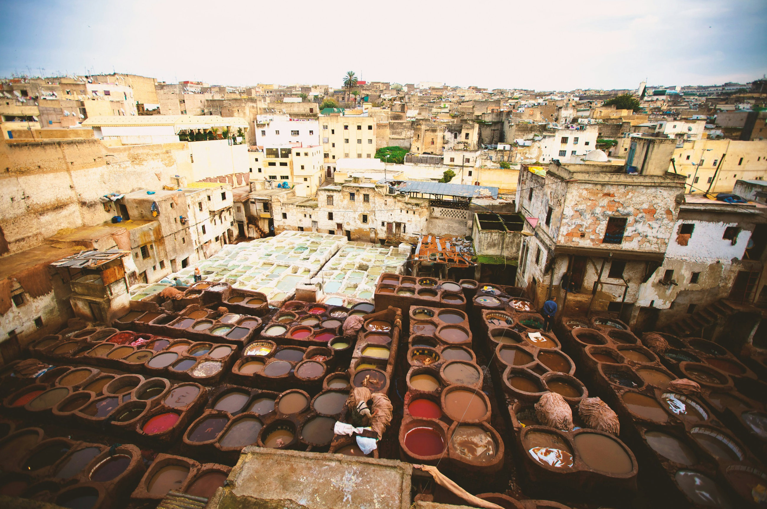 fes private tours