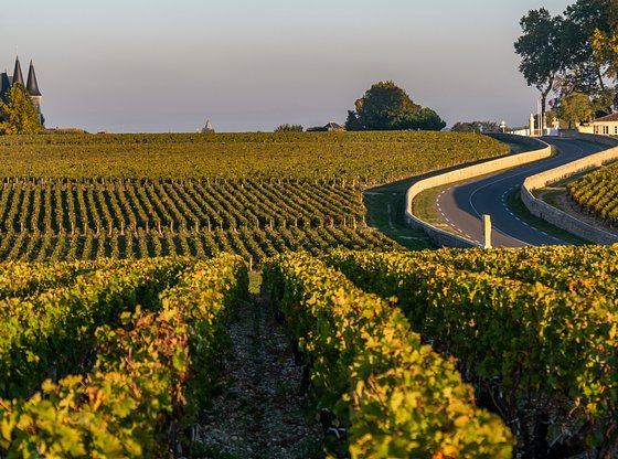 Full-Day Medoc VIP Wine Tasting Tour by Private Car