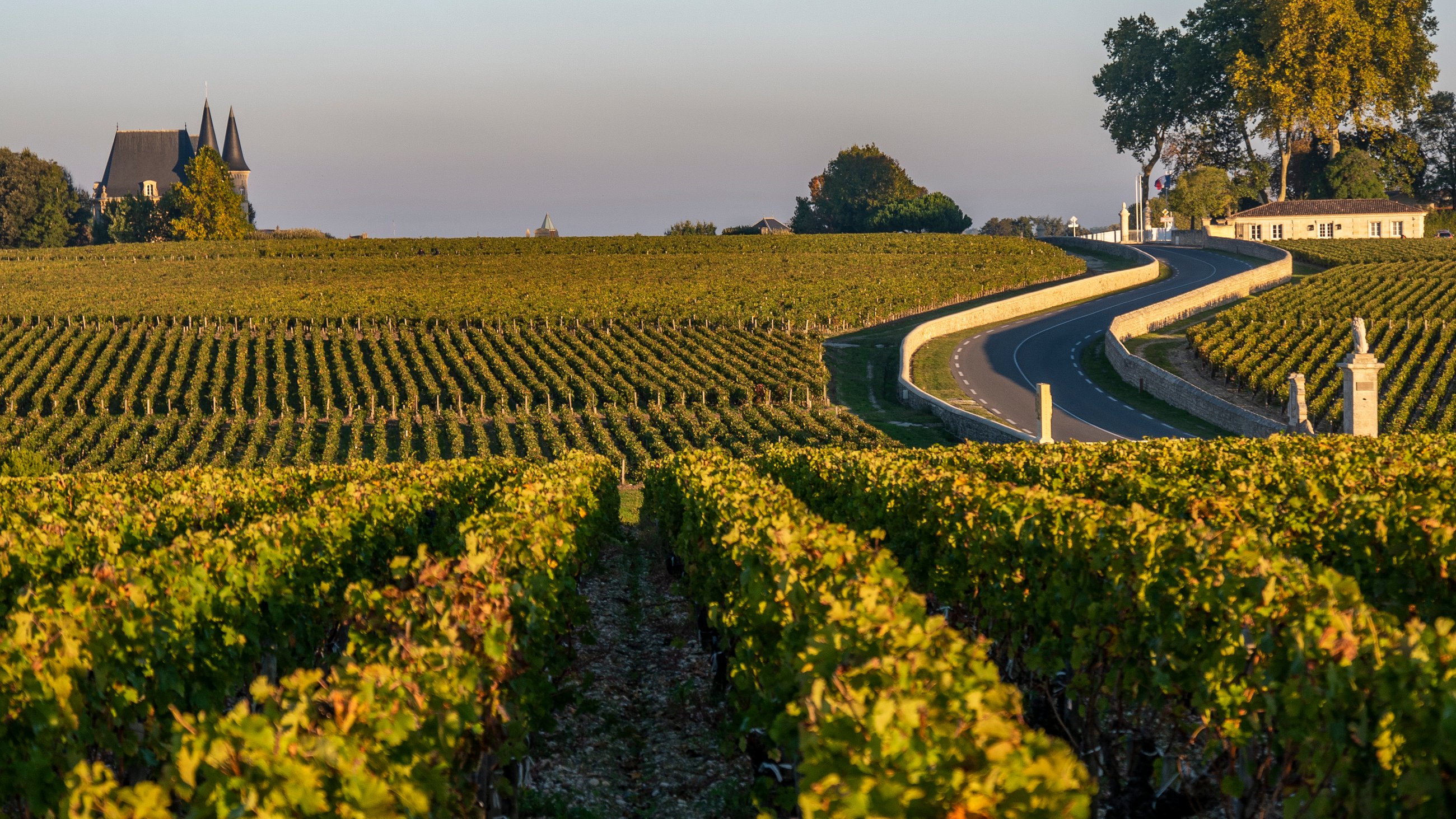 VIP Médoc Wine Tour | Luxury Wine Tasting Tour Bordeaux