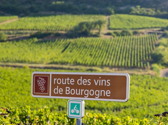 VIP Experience: Burgundy Full-Day Wine Tasting Tour with Lunch by Private Car