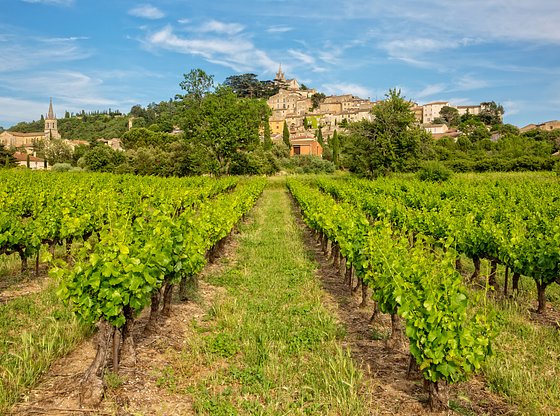 Full-Day Provence and Luberon Villages Day Trip from Marseille or Aix